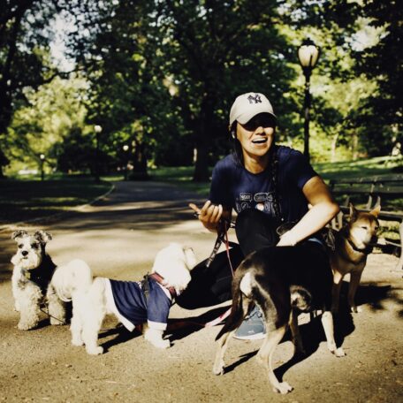 Pet Sitter Image Pet Sitter Image